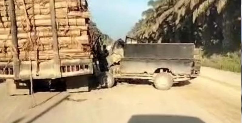 2024-11-05-8968bermadah.jpg
