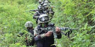 2025-03-08-5221TNI.jpg