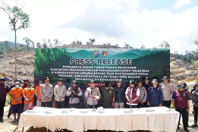 Modus Skema Adat, Perambah Hutan di Kampar Ditangkap
