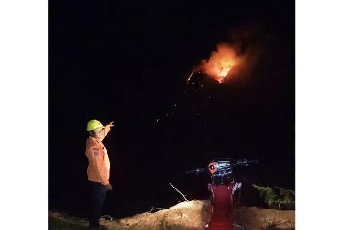Kawasan Hutan Rohul Terbakar, Api Membumbung Tinggi