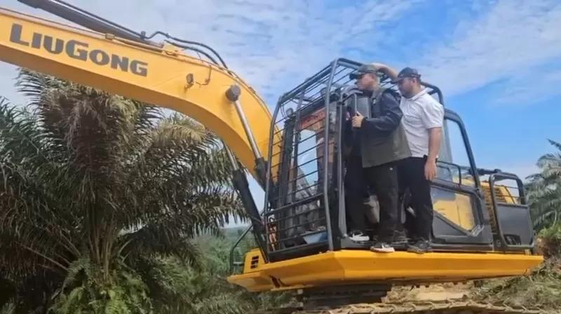 Upaya Satgas PKH Buahkan Hasil, 401 Ha Lahan Sawit TNTN Kembali ke Negara