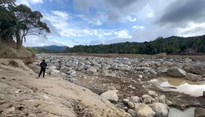 Hutan di Hulu Sungai Palembayan Agam Berubah jadi Sawit